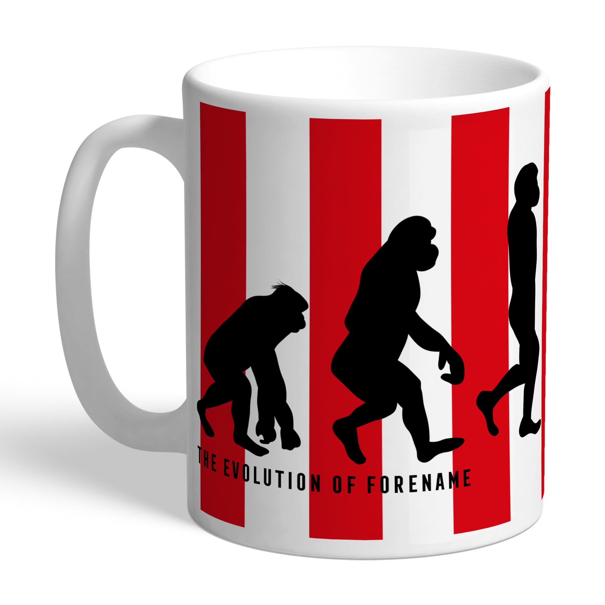 Sunderland AFC Evolution Mug