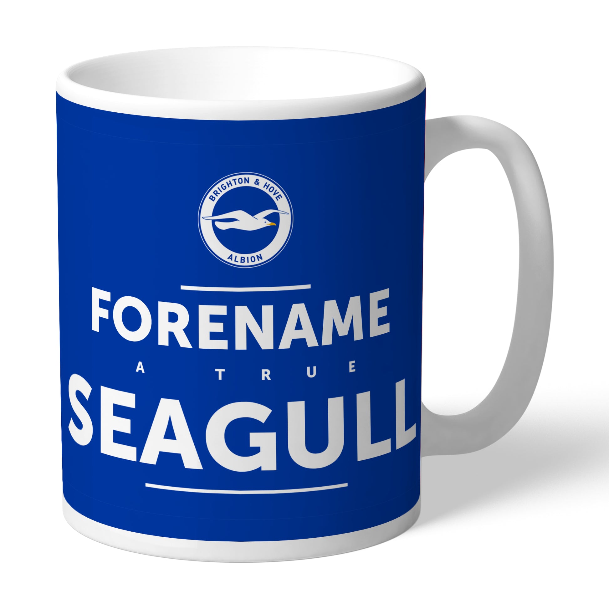 Brighton & Hove Albion FC True Mug